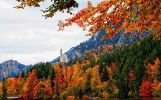 Lake trees clock tower autumn 2 - beautiful landscape free wallpaper