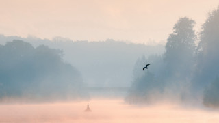 Bird lake foggy mountain lighthouse - the foggy day free wallpaper