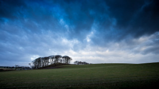 Grassy field trees hill cloudy - art free wallpaper