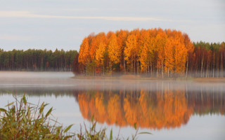 Autumn lake fog orange leaves 2 - the air above free wallpaper
