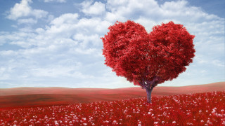 Heart shaped tree field flowers 3 - a blue sky background free wallpaper