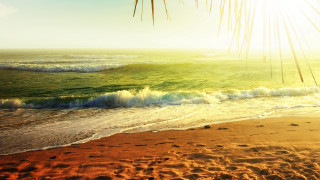 Beach waves shore sunset ocean - wave free wallpaper