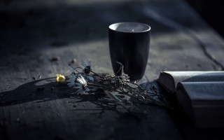 Coffee book flowers floor stilllife - a cup of coffee and a book free wallpaper