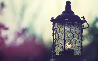 Light fixture closeup blurry trees - a blurry background of trees and bushes free wallpaper