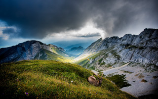 Goat hill mountains cloudy sky - a grassy hill free wallpaper