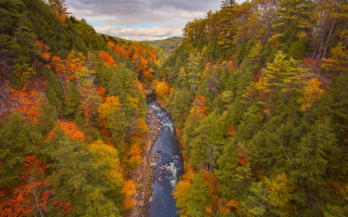 Fall colors river forest autumn - alexander brook free wallpaper