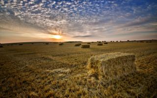 Hayfield sunset clouds bales outdoors - a field of hay free wallpaper