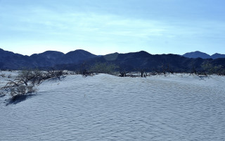 Desert mountains tree landscape beach - single free wallpaper