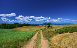 Dirt road green field blue 3 - bela čikoš sesija free wallpaper