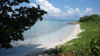 White sand blue water beach - bascove free wallpaper