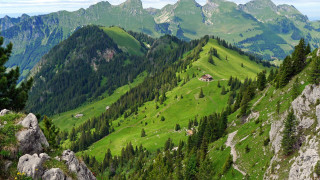 Green mountain house trees background - a green mountain free wallpaper