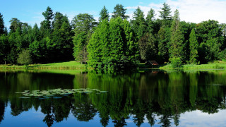 Lake bench lily pads autumn - lily pad free wallpaper