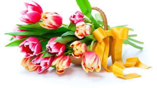 Basket tulips bow ribbon stilllife - still free wallpaper