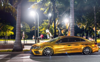 Yellow car parking lot palm - rim free wallpaper