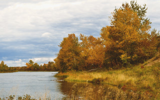 River trees ducks autumn matte - cloudy free wallpaper