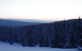 Snowy forest mountain night sky - tonalism free wallpaper