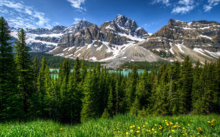 Mountain lake forest flower field - a blue sky free wallpaper