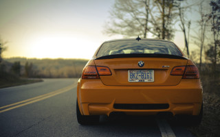 Car forest sunset tiltshift backlighting - the tree free wallpaper