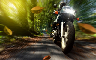 Motorcycle woods leaves blurry motion - motion blur free wallpaper