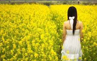 Woman white dress field yellow 2 - a man in the background free wallpaper