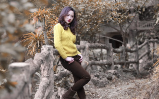 Woman yellow sweater brown pants - fei danxu free wallpaper