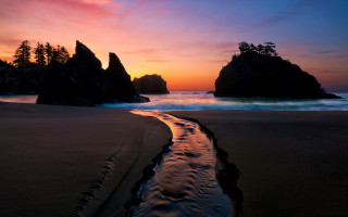 Sunset beach stream trees landscape - a sunset view of a beach free wallpaper