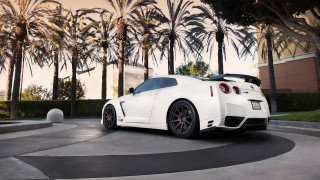 White sports car driveway palm - the background and a building in the background free wallpaper