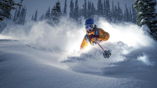 Skiing snowy mountain trees cinematic - the side of the mountain free wallpaper