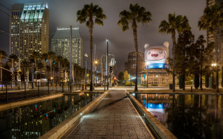 Cityscape night palmtrees bridge ferriswheel - a large sign free wallpaper