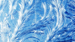 Blue feathers night forest snow - ice free wallpaper