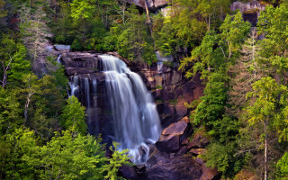 Waterfall forest bridge nature impressionist - suspended free wallpaper