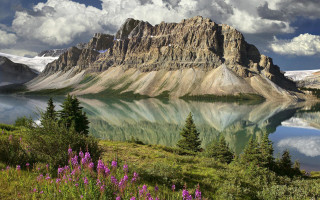 Mountain lake forest flower clouds - bob thompson free wallpaper