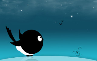Black bird white wings blue - white wing free wallpaper