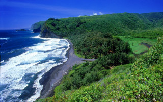 Beach forest mountain lake water - scenic free wallpaper
