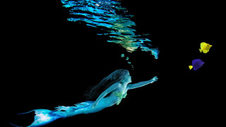 Woman bluebikini underwater fish mermaid - fish free wallpaper