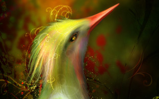Bird red yellow green christmas - a yellow beak free wallpaper
