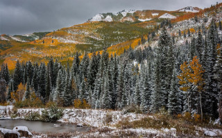 Mountain lake trees snow autumn - covered ground free wallpaper