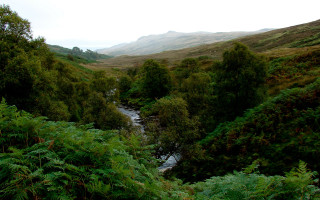 River forest mountains cloudy panorama - alexander johnston free wallpaper