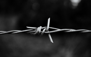 Barbed wire closeup blurry background - wire free wallpaper