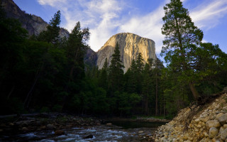 River forest mountain sky nature - a forest next free wallpaper