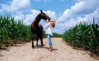 Woman petting horse cornfield outdoors - evelyn abelson free wallpaper for desktop