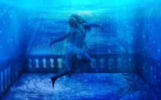 Woman swimming shark fish underwater - a shark free wallpaper