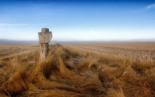 Wooden sign wheat field blue - a blue sky in the background free wallpaper for desktop