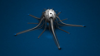 Metal neck legs spider shadow - long leg free wallpaper