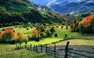 Lush green hillside trees colorful - edi rama free wallpaper