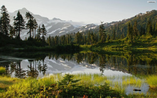 Mountain lake tall trees grass - a mountain lake free wallpaper
