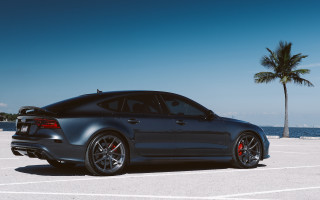 Black car palm tree water - anthony s waters free wallpaper