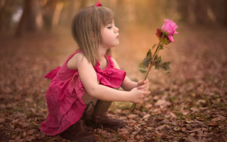 Little girl pink dress rose 2 - a little girl free wallpaper