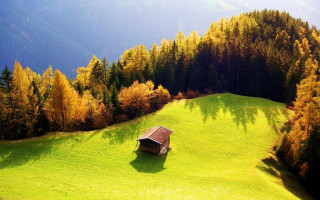 Small cabin field trees mountains 2 - tree and mountains free wallpaper