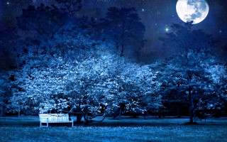 Bench park full moon stars - under free wallpaper
